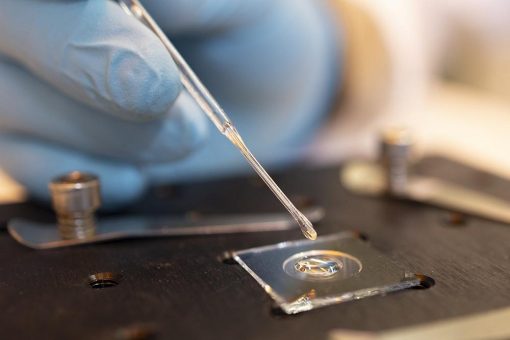 Forschungsprojekt LIMESOPTIA: Evolution einer Linse