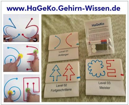 Das Weihnachtsgeschenk, das beide Gehirnhälften verbindet