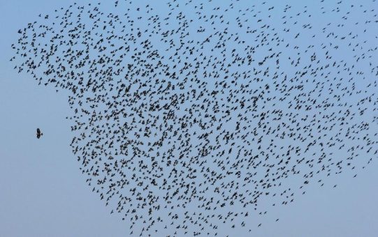 Das sollte uns alle empören: Geht es nach den USA, sind plötzlich und klammheimlich CO2 und Methan keine schädlichen Treibhausgase mehr