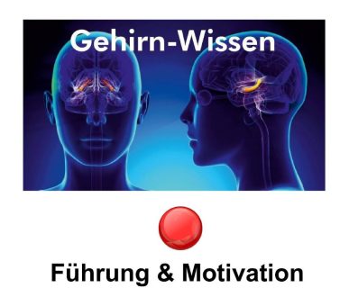 Kostenfreier Online-Workshop „Gehirn-Wissen & Jonglieren für FÜHRUNG & MOTIVATION“ am Mi 17.2. um 18:00 Uhr