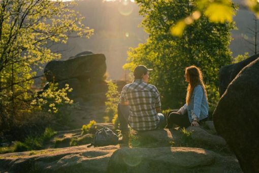 Frühjahrsblüher entdecken