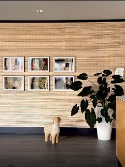 Was macht ein Weihnachtsschaf im Frühling bei der Gebäude- und Wohnungsbaugesellschaft Wernigerode mbH?