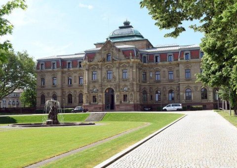 Gerichte stärken Patientenschutz: Apotheken haften für unzulässige Plattform-Werbung