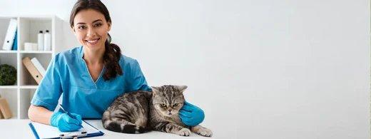 Tierkrankenversicherung für Hund & Katze: Wann sie wirklich sinnvoll ist