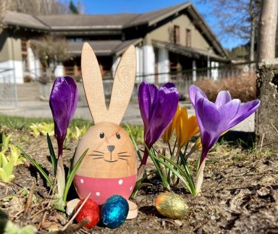 Ostern im Oberharz – der Frühling blüht auf