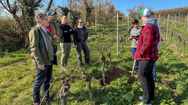 Forscher untersuchen Eignung als CO2-Speicher