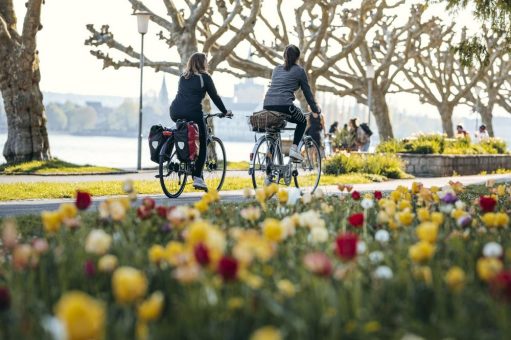 Mit Rückenwind durchs Paradies am Bodensee: Radfahren in Konstanz