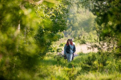 Land Hadeln/Wanna/Ahlenmoor: Ahlenmoorwanderung am 10.Mai: Gut informiert durch Wald und Moor