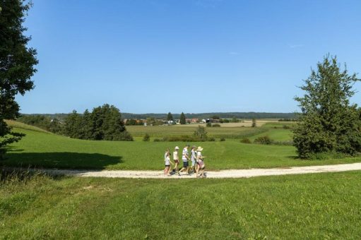 Donautal-Wandertrio 2026: Vier Tage Wandererlebnis zwischen Donau, Auwald und Alb