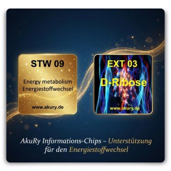 Mehr Power durch Aktivierung des Energiestoffwechsels