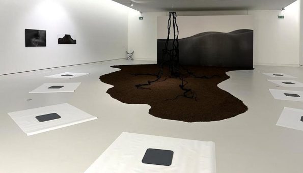 Zwischen Stich und Linie