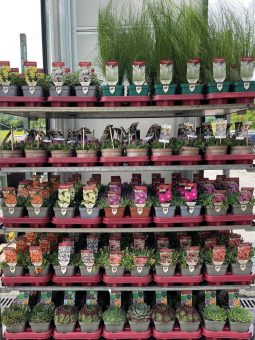 Mehrweg leicht gemacht: Tiefzieh-Tray macht den Unterschied