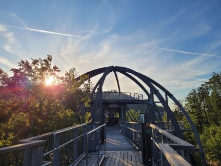 Yoga auf dem Baumwipfelpfad mit Kursleiterin Andrea Bönig