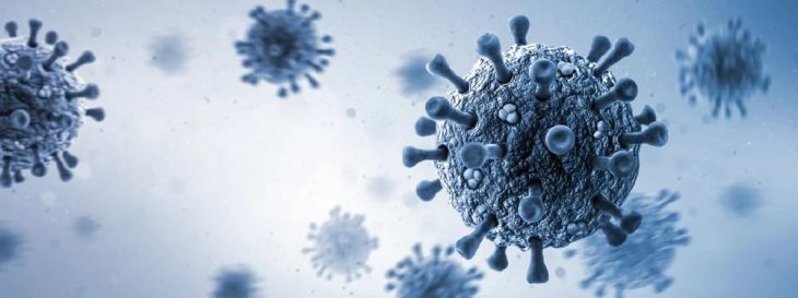 Zahnbürsten und Keime: Was du über Hygiene wirklich wissen solltest