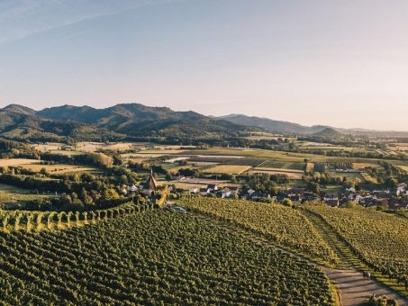 „MaiWein“: Besondere Erlebnisse entlang der Badischen Weinstraße