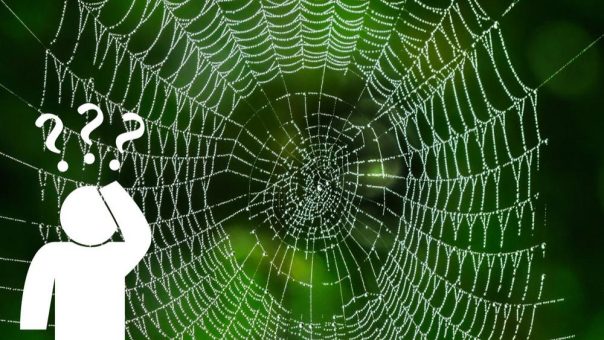 Netzwerkausfall – genau jetzt. Was tun Sie?