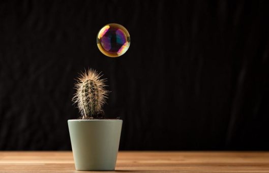 IT-Lösungen in der Sozialverwaltung – Transformation durch Vereinheitlichung?