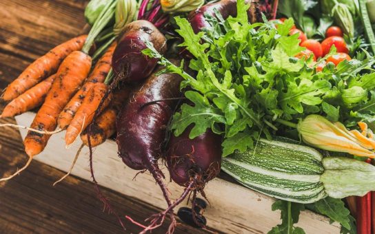 VegSTIM feiert Premiere auf den DLG-Feldtagen 2026 – Neues Biostimulanz für stressresistente Spezialkulturen