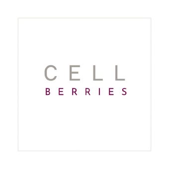 SPF 50 Tagespflege für anspruchsvolle Haut: CELLBERRIES® Pure Vitamins Balm vereint Feuchtigkeit, Anti-Pollution und Breitbandschutz