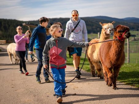 Tierisch unterwegs im Schwarzwald