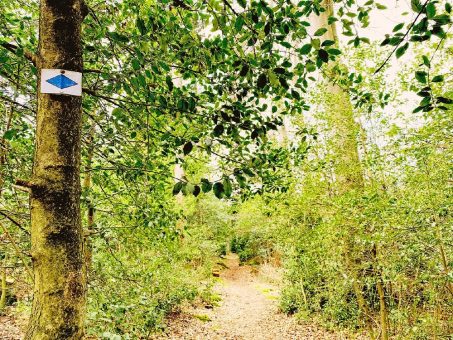 Grenzgänger im Nordschwarzwald: „Historische Runde“ rund um Dobel