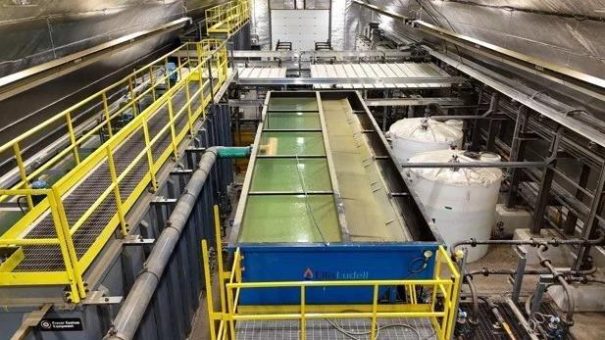 Goldnachfrage stark im ersten Quartal 2026