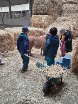 Kooperation von Heilpädagogischer Tagesstätte des Advent-Wohlfahrtswerks mit Erlebnisbauernhof