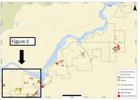 Canary Gold informiert über den aktuellen Stand der Exploration auf dem Projekt Madeira River in Rondônia (Brasilien)