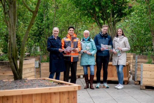 Wandernder Stadtwald bringt neues Grün in Oldenburgs Innenstadt