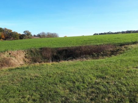 Familienwanderung am Dolinenlehrpfad Tagmersheim – Rögling
