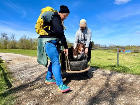 Survival Dogs Nummer 5: „THE GAME WILD“ machte am 9. und 10. Mai erneut im Oberharz Station