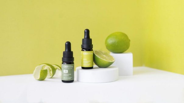 9 Jahre CBD VITAL: Erkenntnisse aus über 1 Million Kundenstimmen