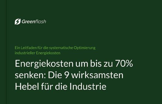 Greenflash veröffentlicht Leitfaden zur systematischen Senkung industrieller Energiekosten