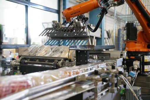 Automatisierte Verpackungslinien & Palettierungsanlagen für Pharmaproduktion