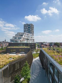 Urbane Architektur trifft auf grüne Infrastruktur.