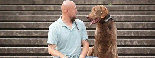 Angst beim Hund: Mit Geduld und kleinen Schritten sicher durch den Alltag