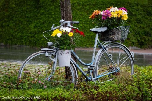 Sicher unterwegs: So sind Radler und Rad gut geschützt