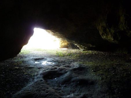 Riegelbergführung – Natur, Geschichte und Geologie