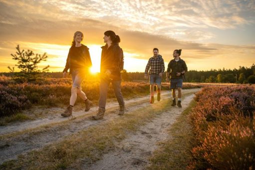 Heide-Idylle ohne Trubel: Jetzt die Vorsaison genießen!