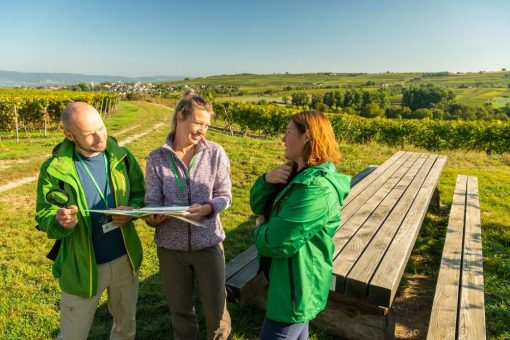 Weinerlebnis-Wanderung in Rheinhessen: Digitale Navigation trifft Weinkultur