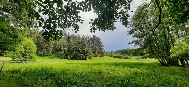 Geoparkführung ins Kohlenbachtal und auf den Salzberg