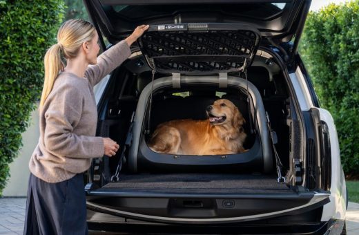 Tierisch gut mobil