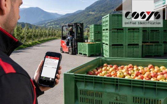 Paloxen tracken statt zählen – Behältermanagement in der Praxis