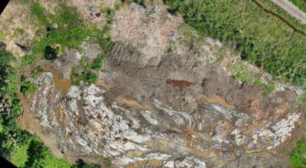 Renforth Resources beobachtet sichtbare Mineralisierung bei Schlitzprobenahmen in Dioriten und Felsiten im Tagebaubereich bei Goldlagerstätte Parbec