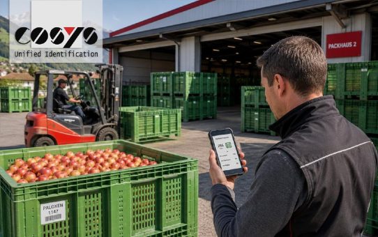Wenn Paloxen zum Engpass in der Obstlogistik werden