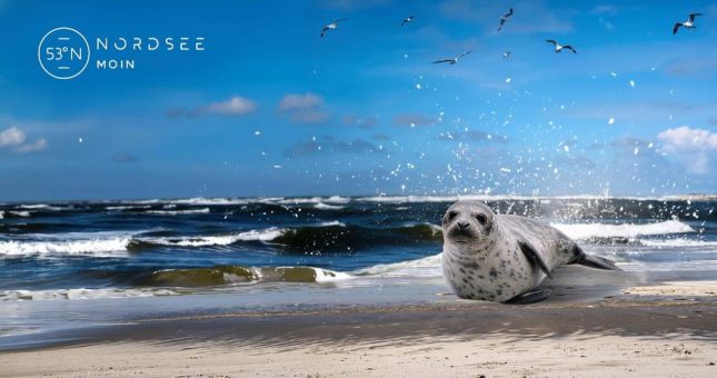 TANO-Kampagne: Mach Deinen Sommer zur Coolcation