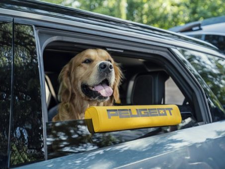 Reisen aus der Perspektive eines Hundes: Der PEUGEOT E-5008 Dog Edition Concept – kreiert für Hunde und ihre Besitzer