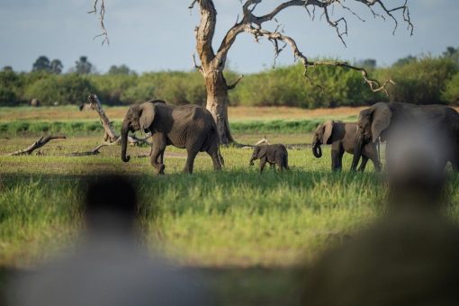 Wie der Nahostkonflikt Luxusreisen verändert