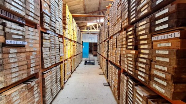 Antimon in Goldprojekten