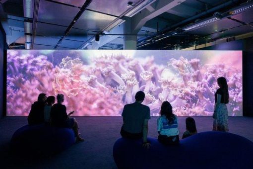 Von Art Action über Museumsrallye bis Weinbrenner-Special –   Bunte Kulturvielfalt und spannende Mitmachaktionen bei der   27. Karlsruher Museumsnacht